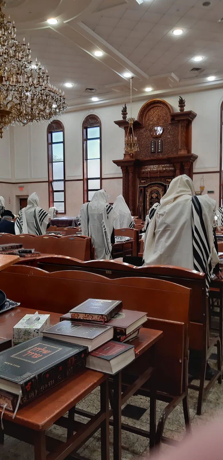 Vyoel Moshe Satmar of Monsey — photo 5