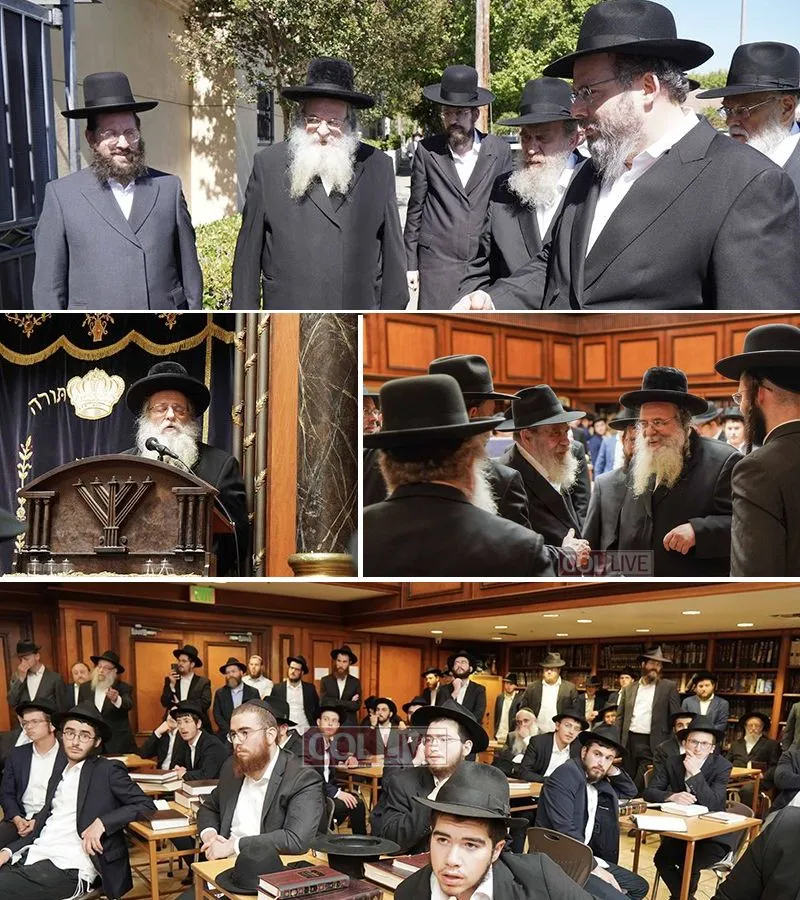 Yeshiva Ohr Elchonon Chabad — photo 2