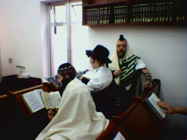 Yeshiva Tomchei Tmimim Lubavitch (Ohel Menachem) — photo 2