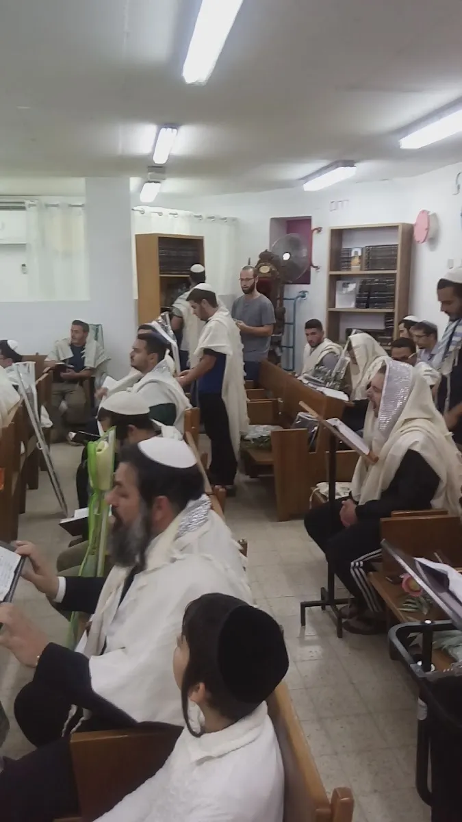 Achdut Synagogue — foto 7