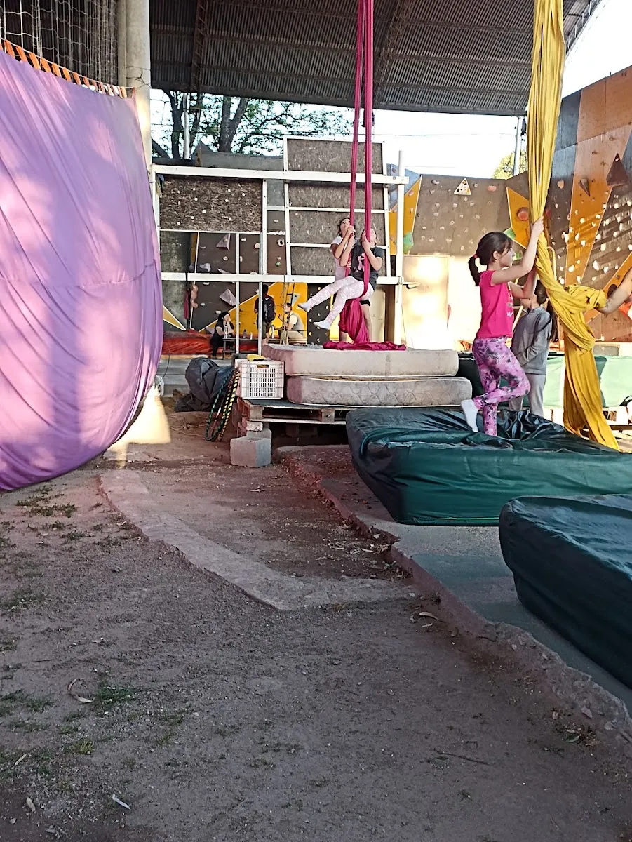 ACIC — Asociación Cultural Israelita de Córdoba — foto 4