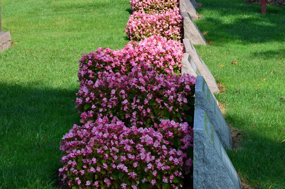 Adat Shalom Memorial Park — foto 2