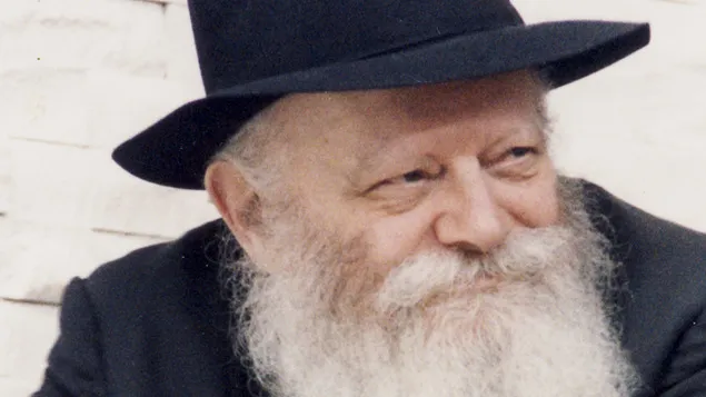 Afula - Chabad Center — foto 7