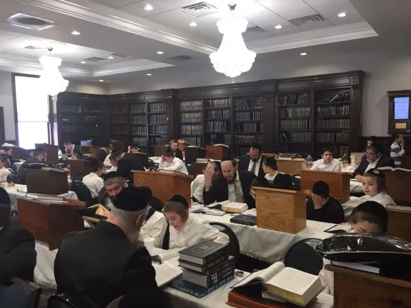 Agudah of Peterson Park — photo 7