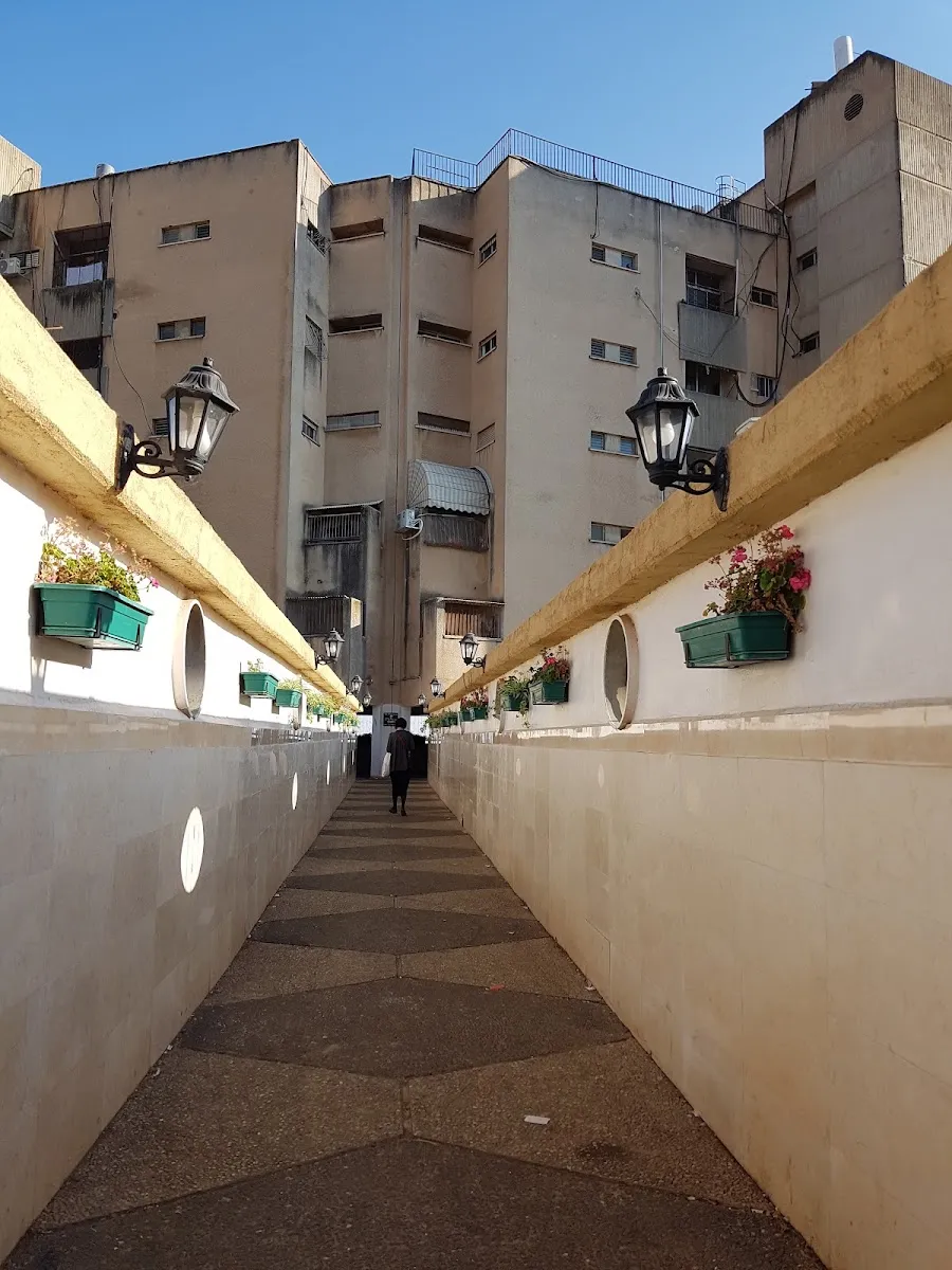 Agudat Kiryat Chabad-Chabad of Safed — photo 4