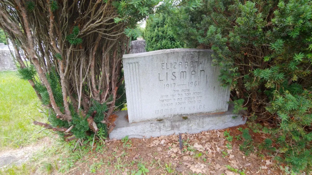 Ahavath Gerim/Chabad/Temple Sinai Cemetery — photo 7