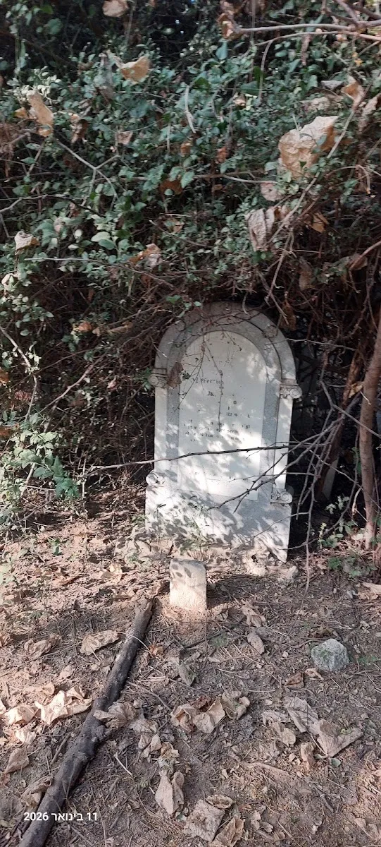 Ajmer Jewish Cemetery — foto 4