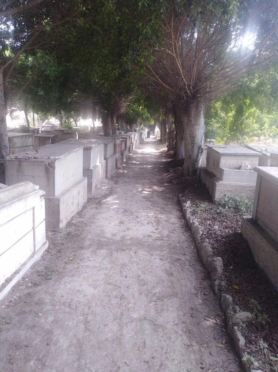 Alexandria Jewish Cemetery (Shatby) — foto 6