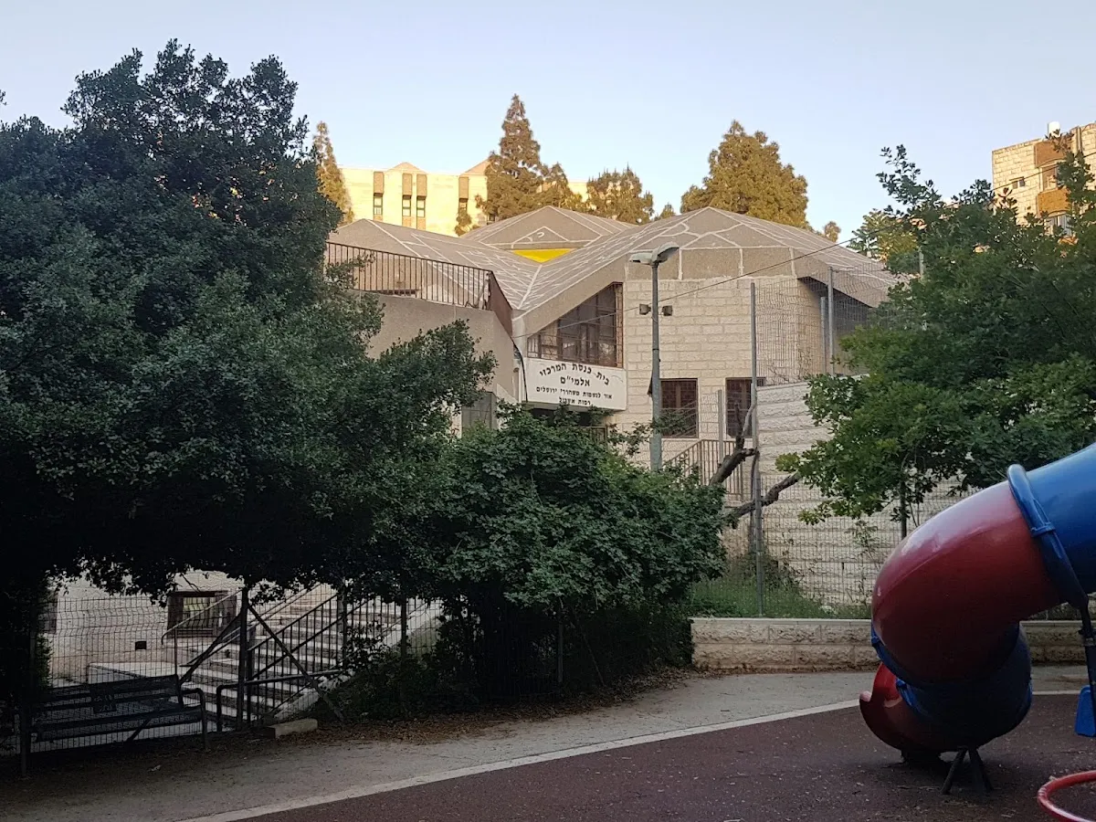 Alomim Synagogue — foto 6
