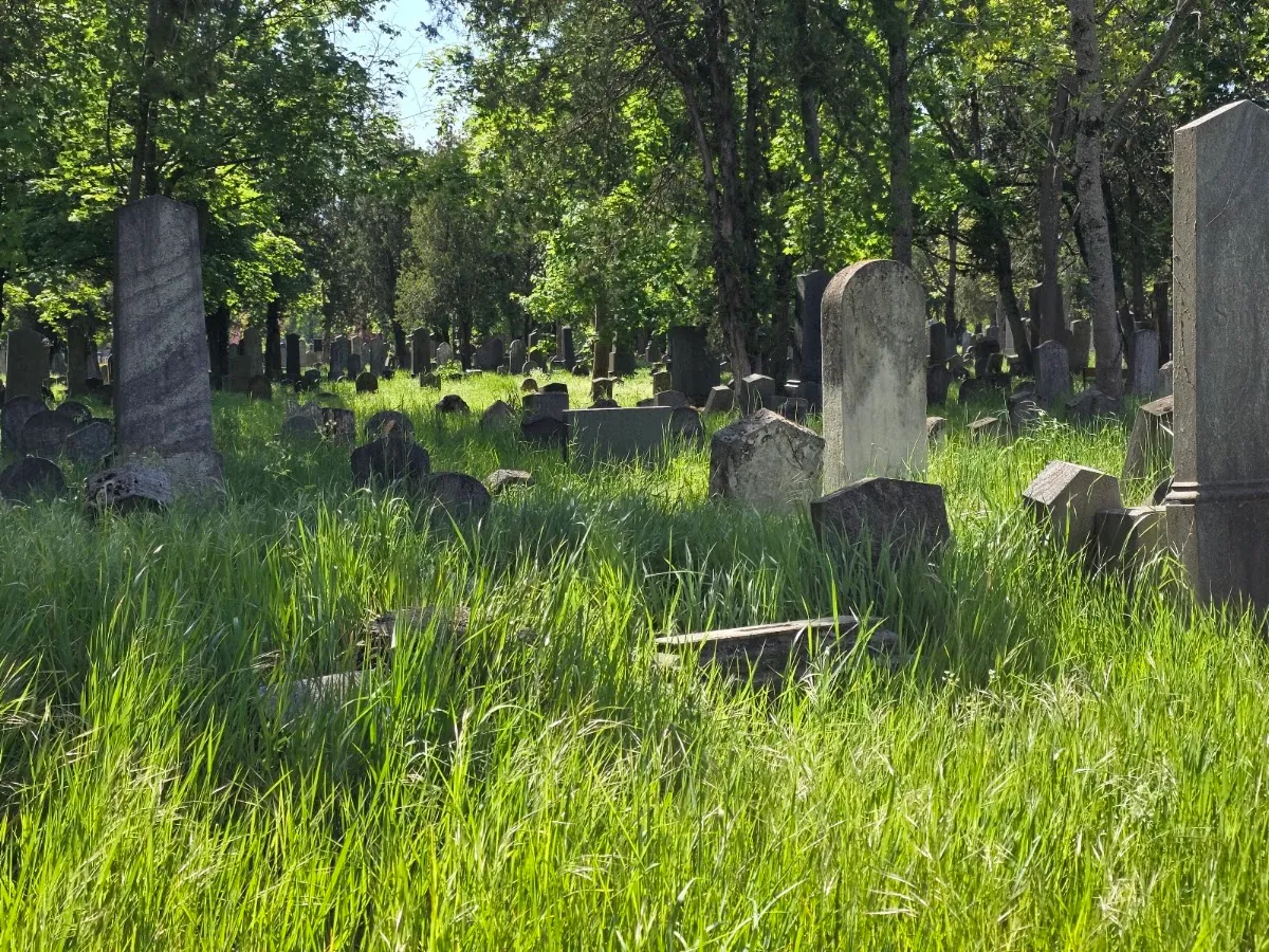 Alter Israelitischer Friedhof Wien Simmering — foto 3