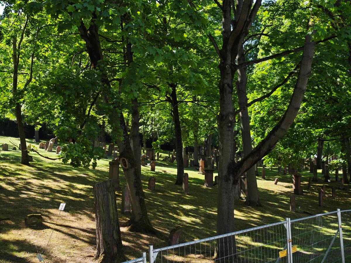 Alter Jüdischer Friedhof „Am Judensand“ Mainz — photo 6