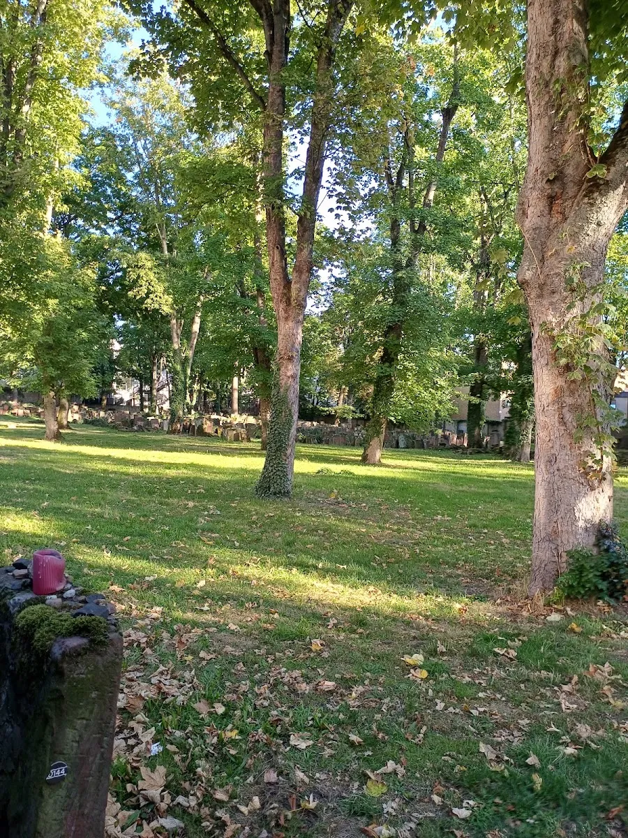 Alter Jüdischer Friedhof Battonnstraße — foto 9