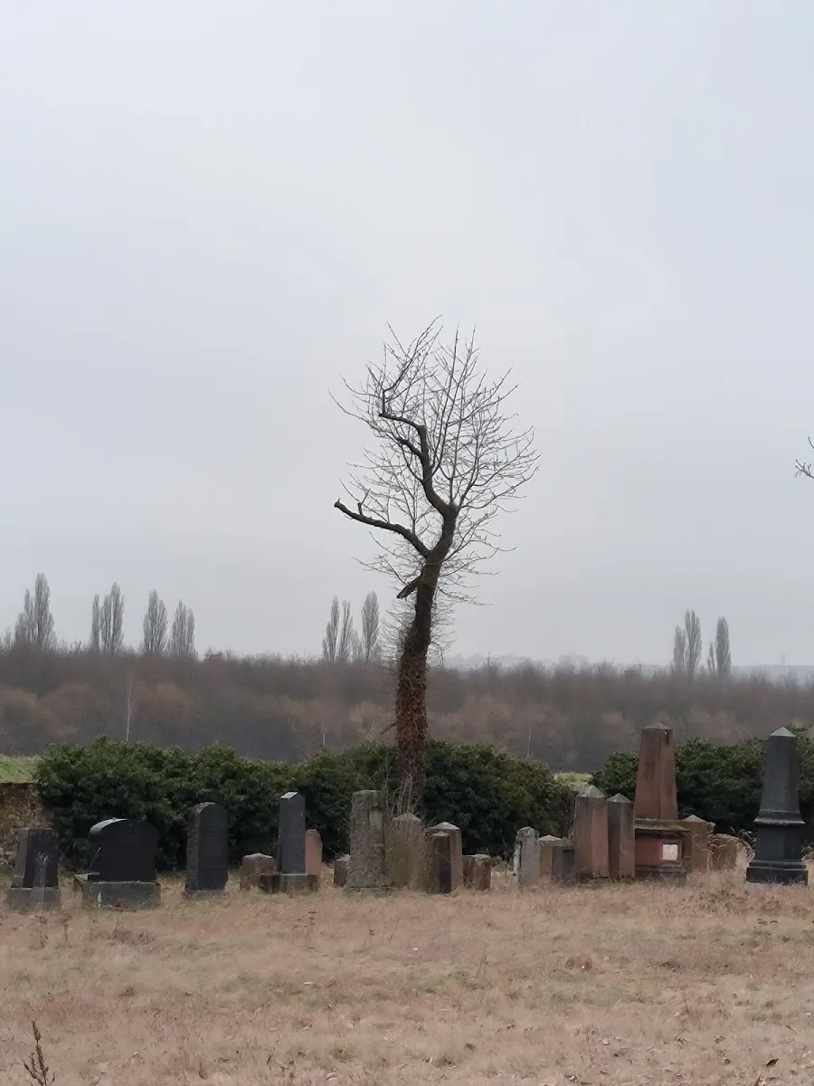Alter Jüdischer Friedhof Bürgel — foto 6