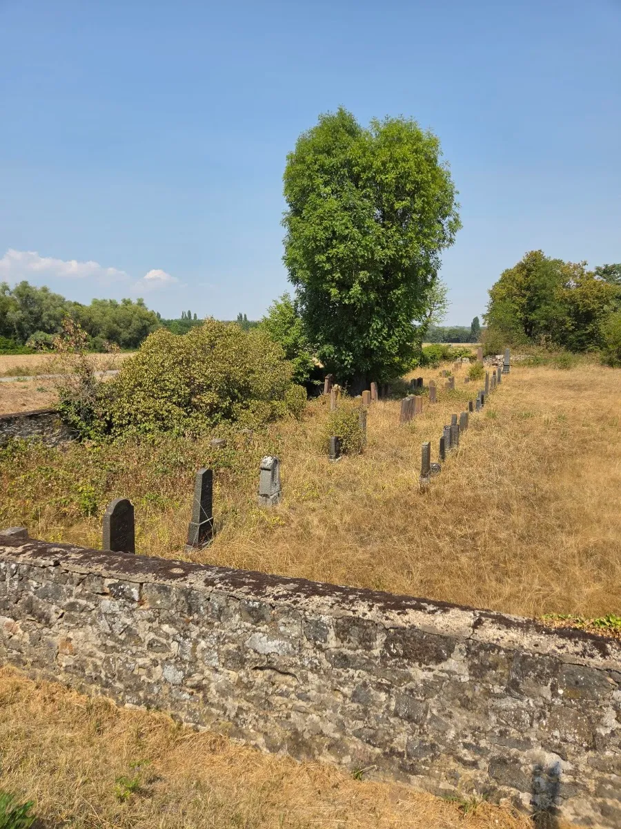 Alter Jüdischer Friedhof Bürgel — foto 8