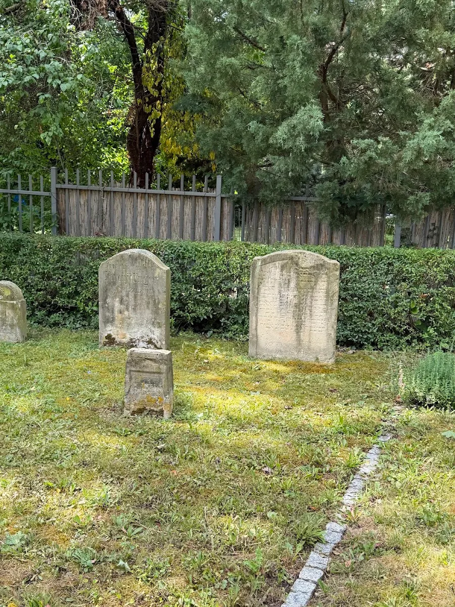Alter Jüdischer Friedhof Erfurt — foto 4