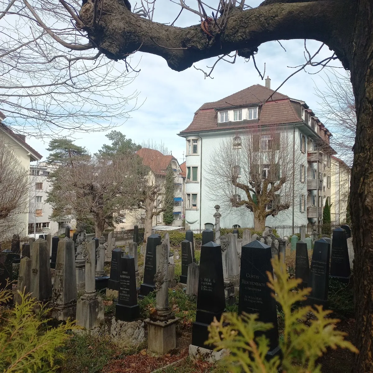 Alter jüdischer Friedhof St. Gallen — foto 2