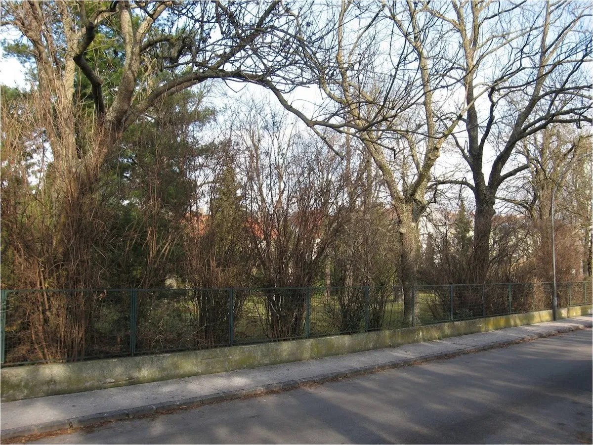 Alter Jüdischer Friedhof St. Pölten — foto 4