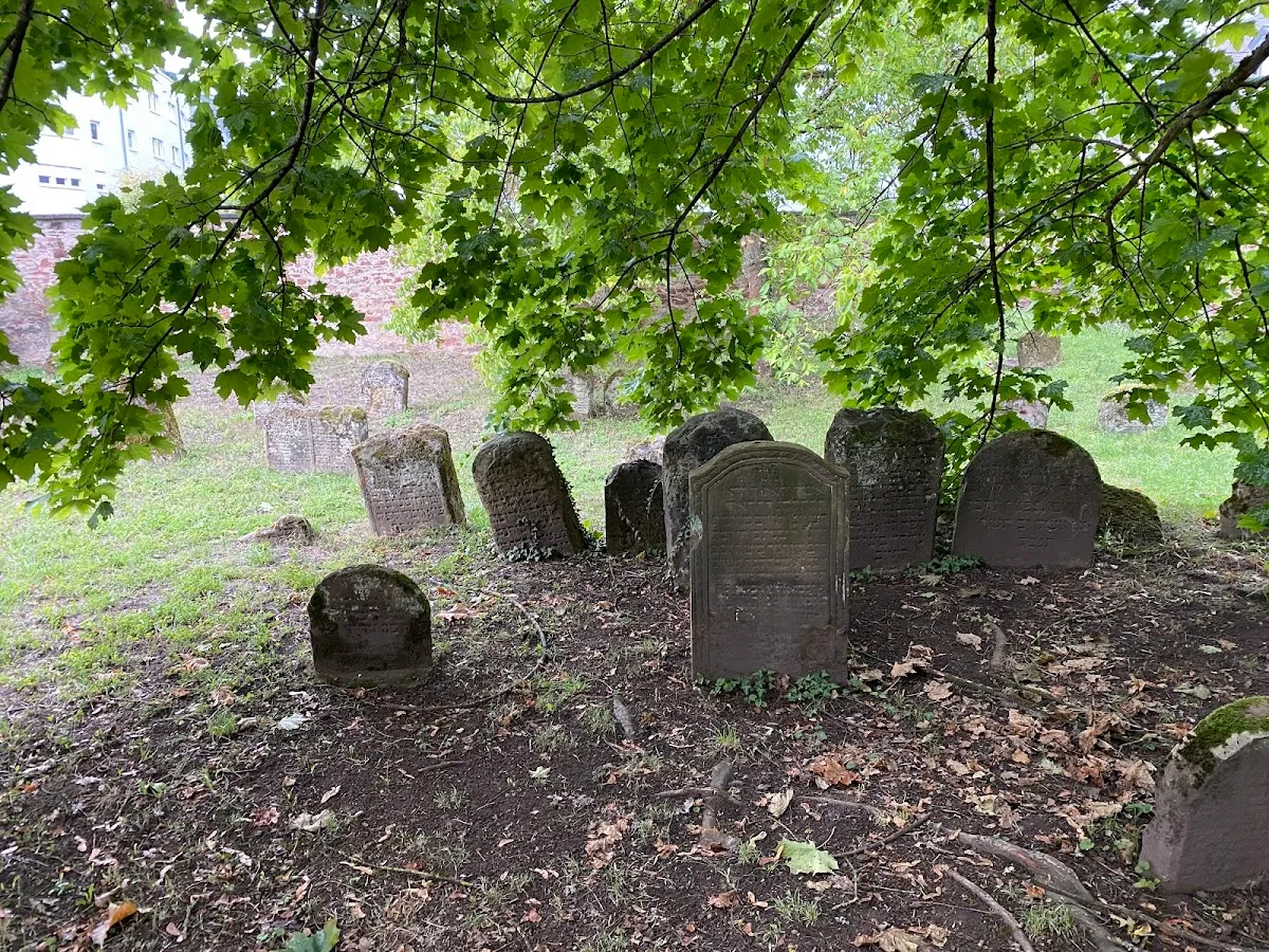 Alter jüdischer Friedhof Trier — photo 6