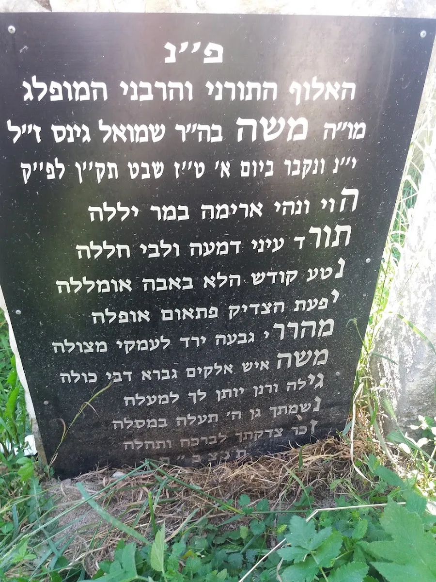 Älterer jüdischer Friedhof Eisenstadt — foto 6