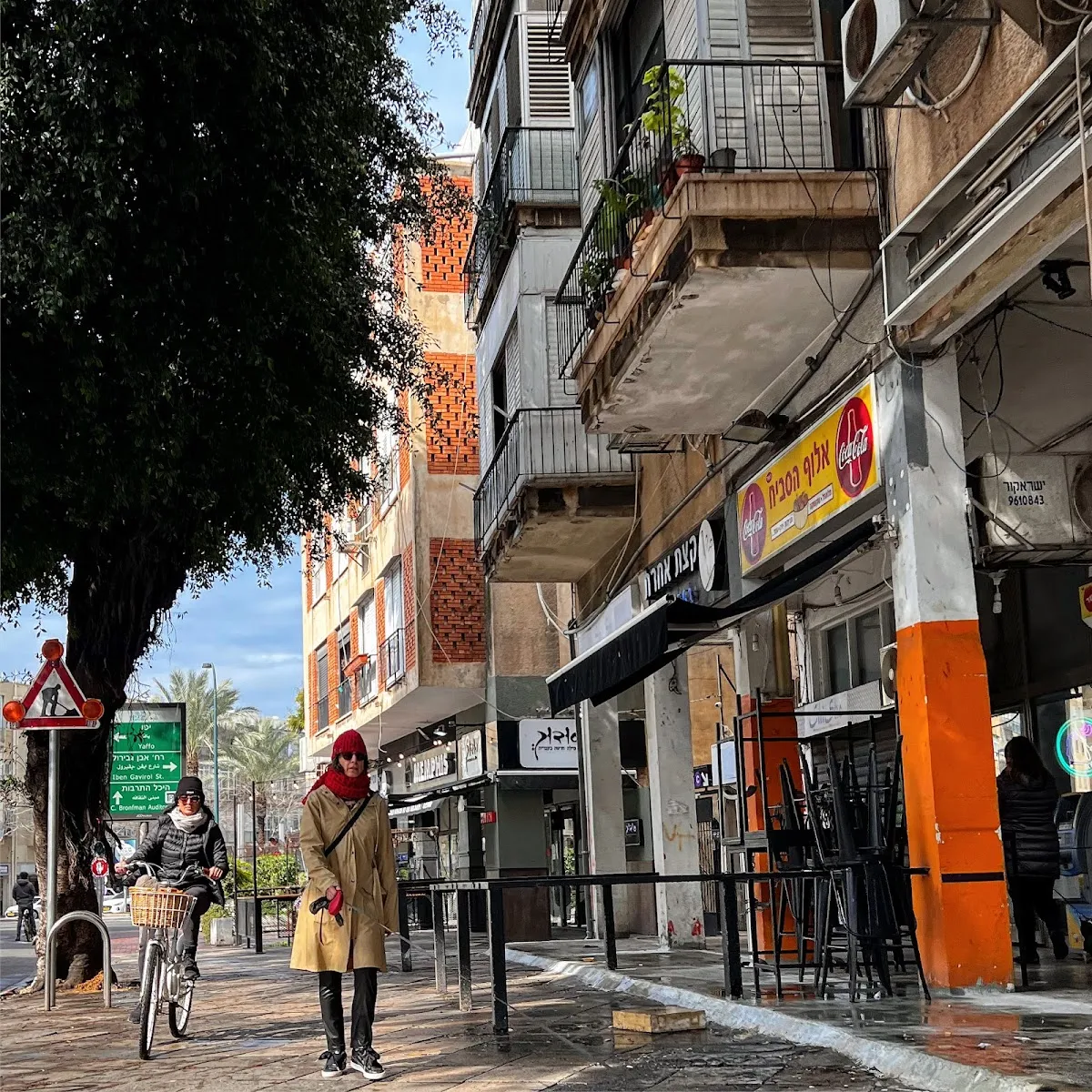 Aluf HaSabich — photo 5