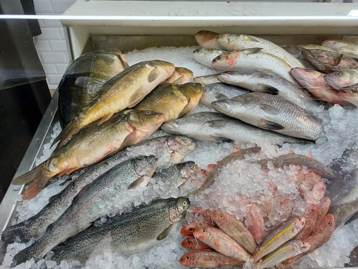 Amberjack Fish — foto 4