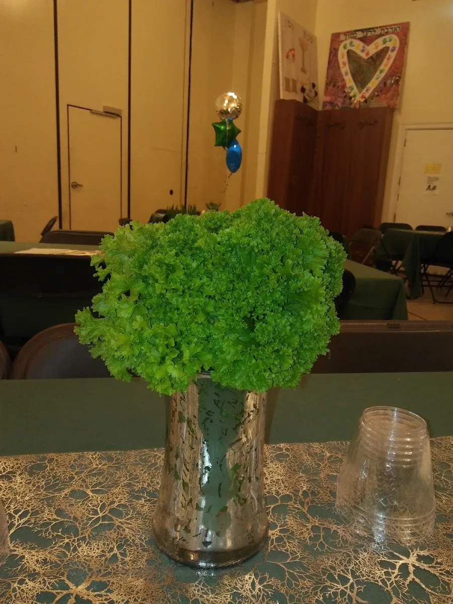 Anshei Lubavitch — photo 7