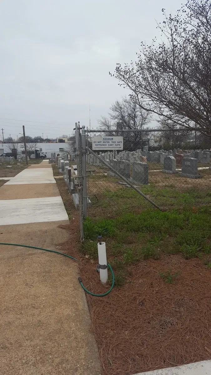 Anshei Sphard Cemetery — foto 7