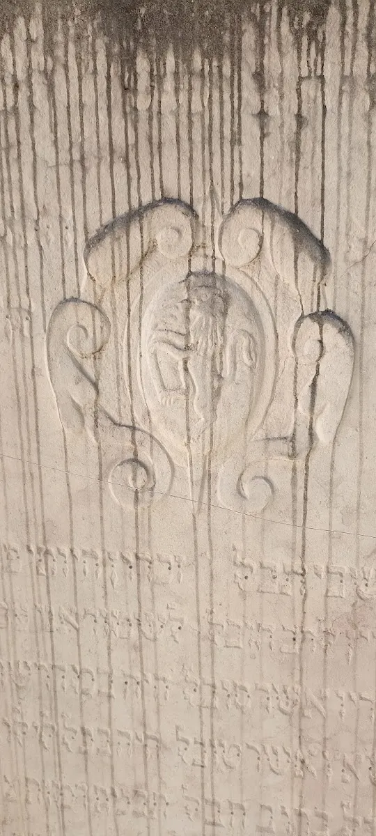 Antico Cimitero Ebraico di Padova — foto 6