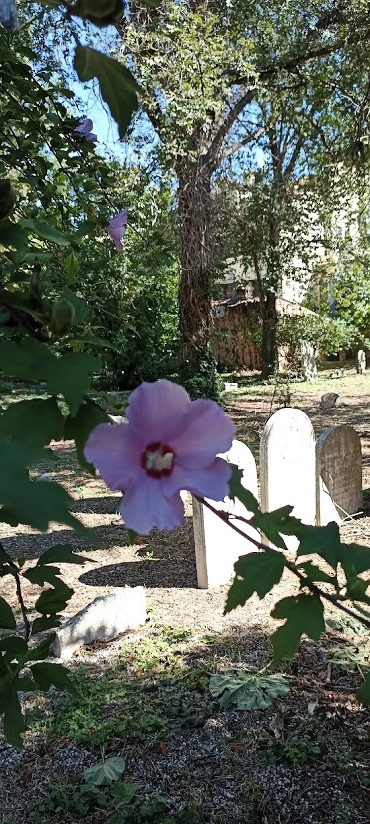 Antico Cimitero Ebraico di Padova — foto 7