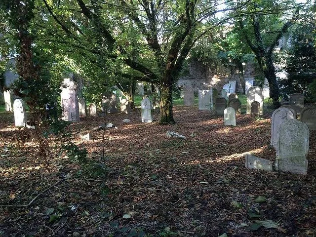 Antico Cimitero Ebraico di Padova — foto 8