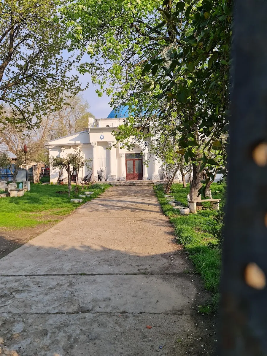 Antigua sinagoga de Bacău — photo 6