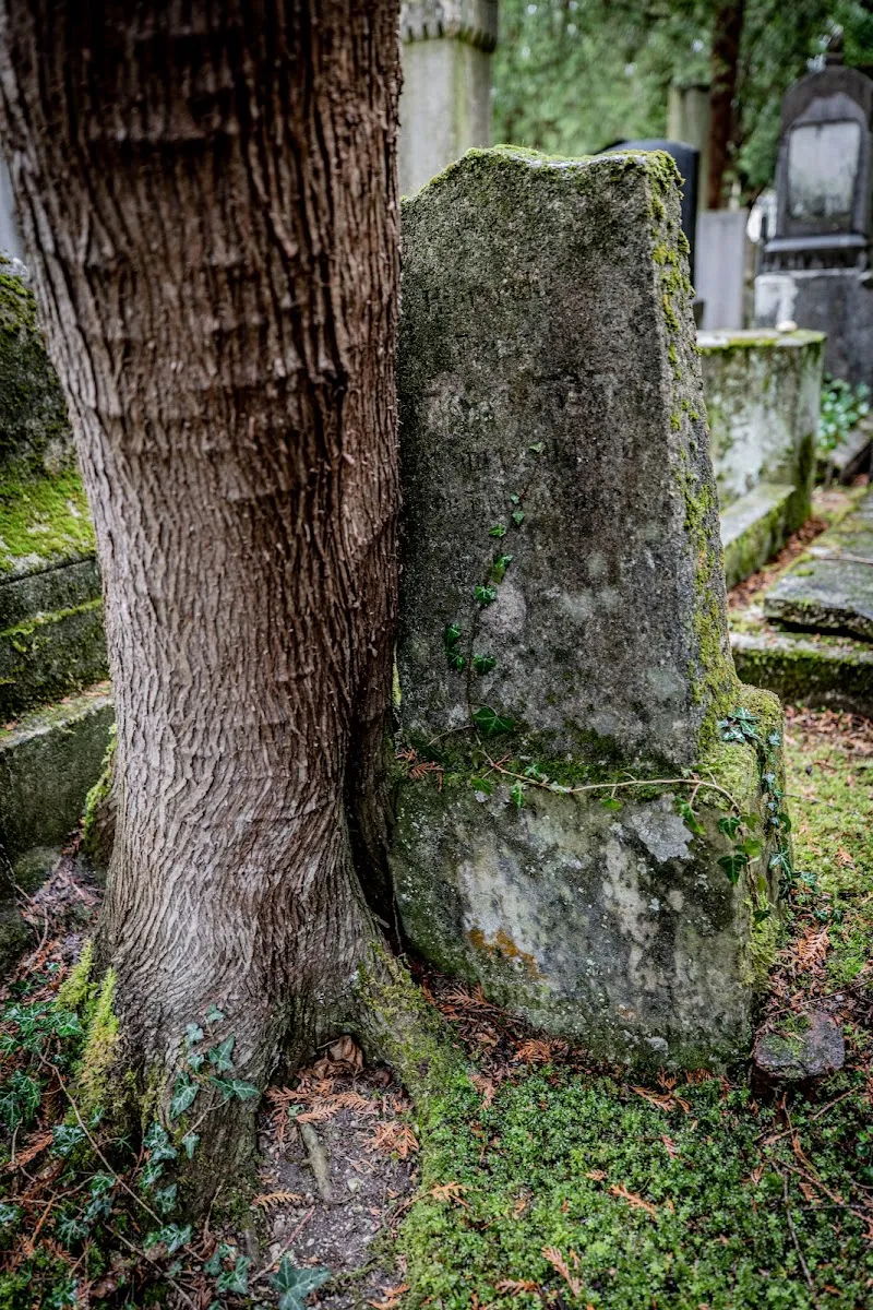 Antiguo cementerio israelí — foto 5