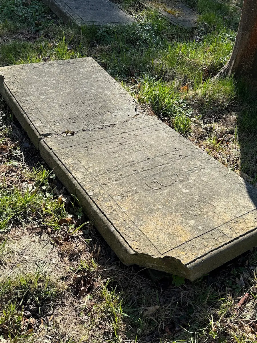 Antiguo cementerio judío de Gdańsk — photo 6