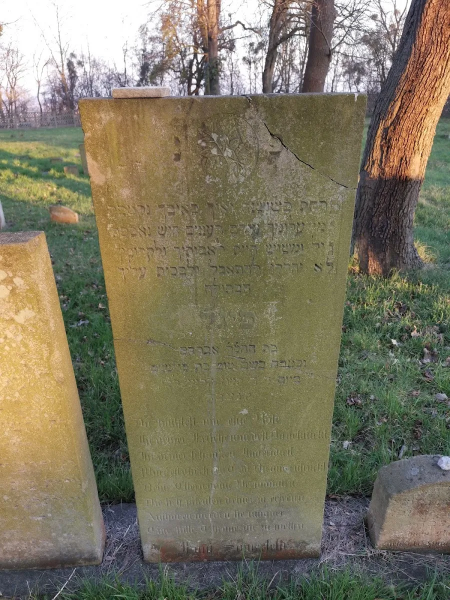 Antiguo cementerio judío de Gdańsk — photo 8