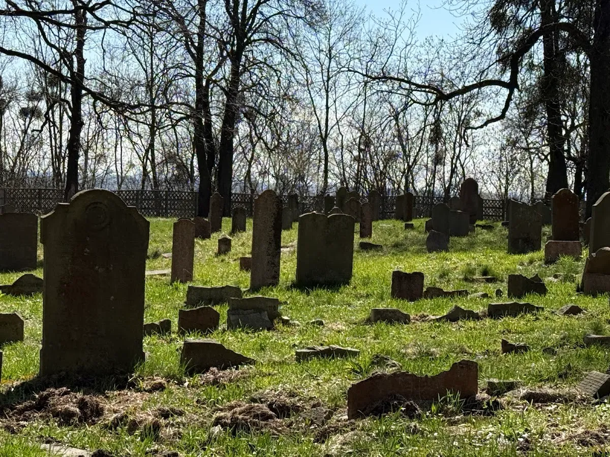 Antiguo cementerio judío de Gdańsk — photo 10