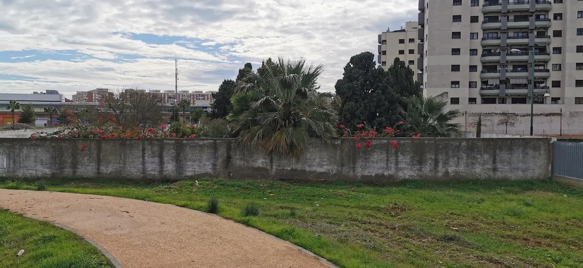 Antiguo Cementerio Judío de Málaga — foto 6