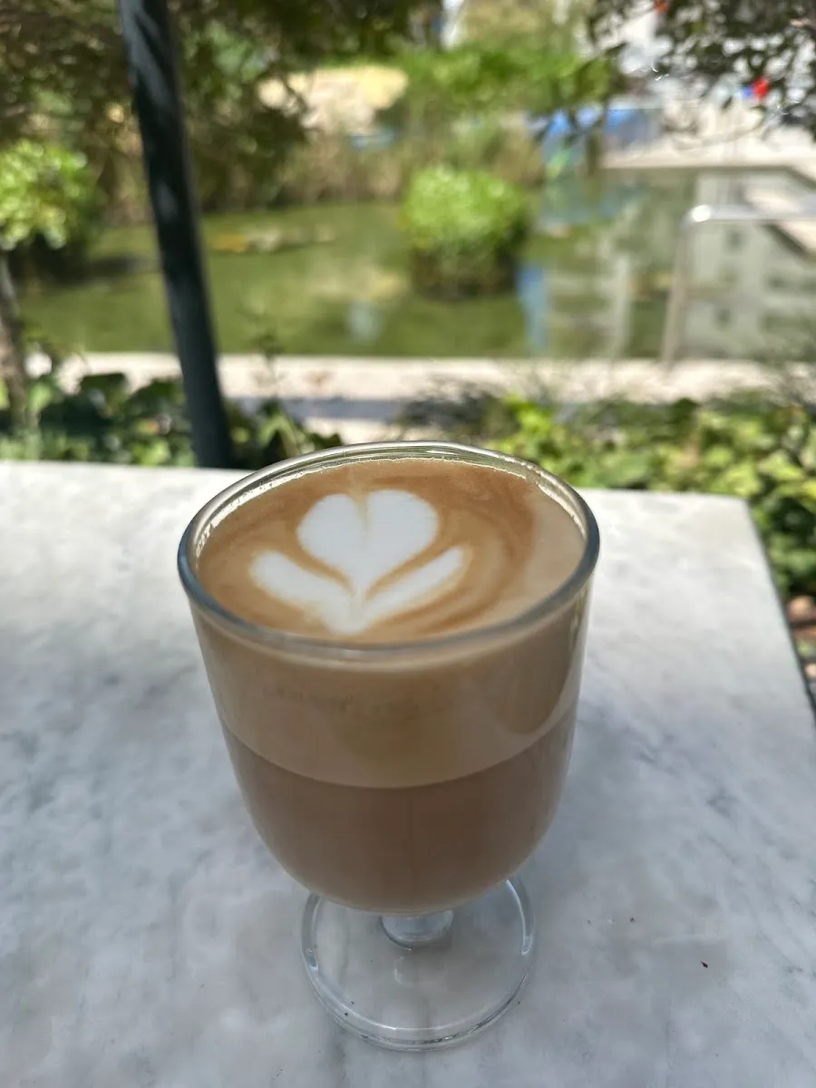 Arcaffe (Einstein) — photo 5