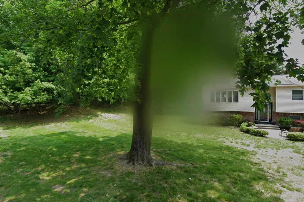 Area Shul — foto 3
