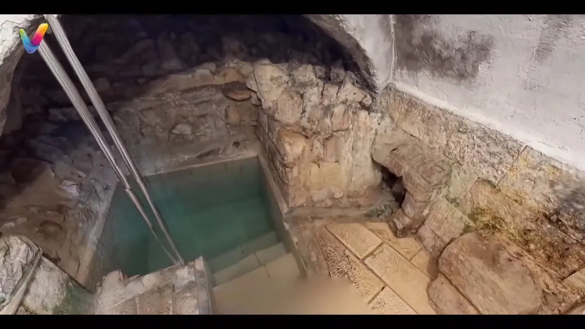 Ari Mikvah — foto 2
