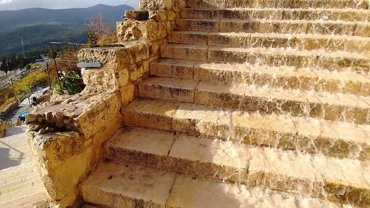 Ari Mikvah — foto 8