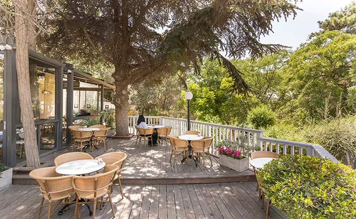 Aroma (Hebrew University, Mount Scopus) — foto 6