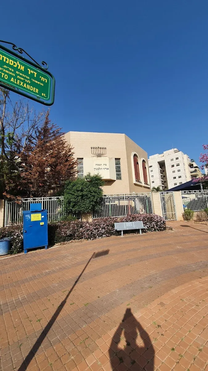 Arzei HaLevanon Synagogue — foto 8