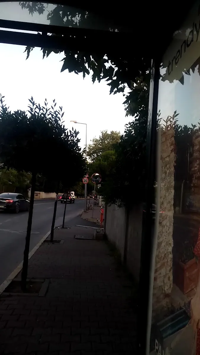 Aşkenaz Musevi Cemaati Mezarlığı — foto 2