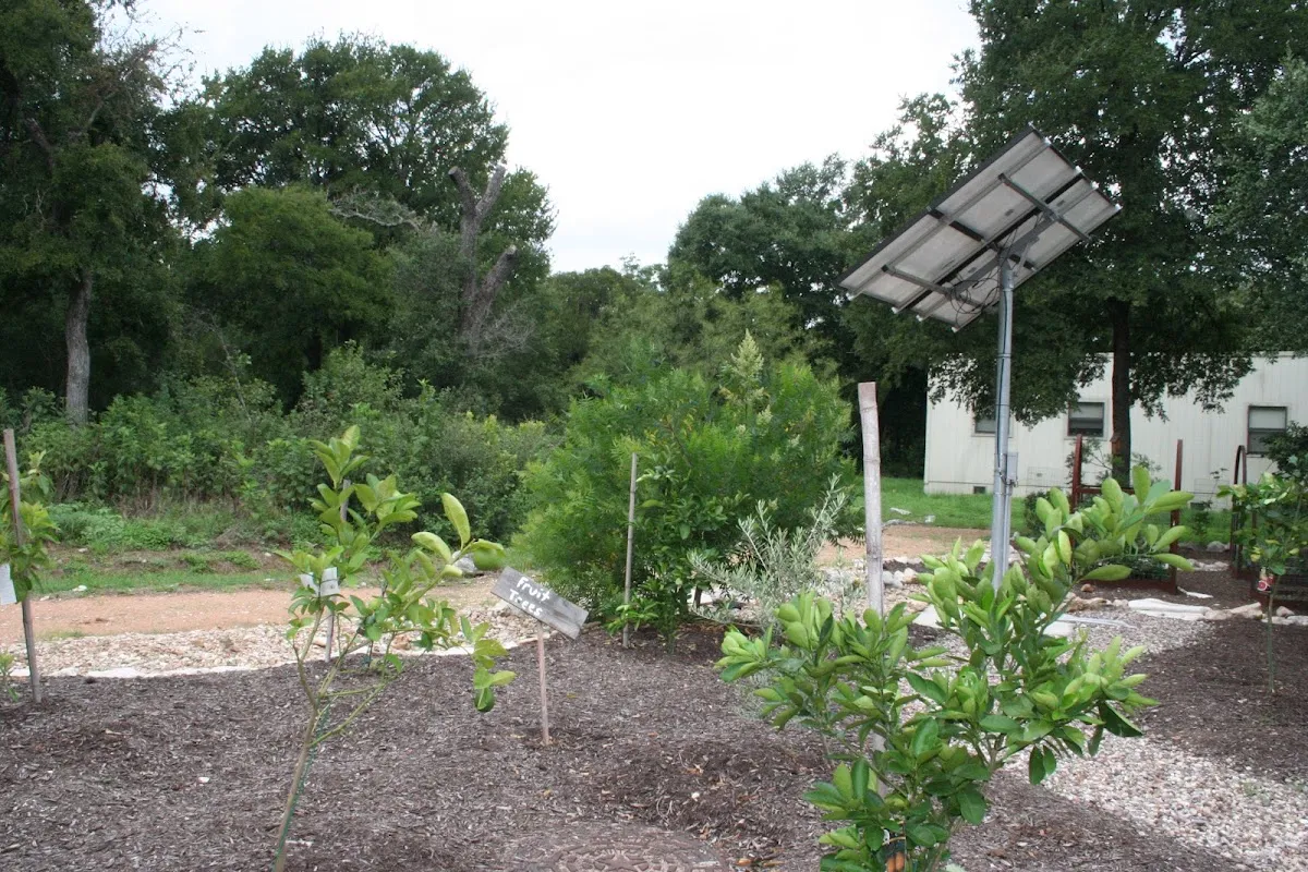 Austin Jewish Academy — foto 2