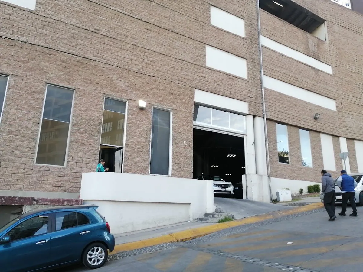 Avi Ezri Interlomas / Shorashim YAD / Toiras Eliahu — foto 6