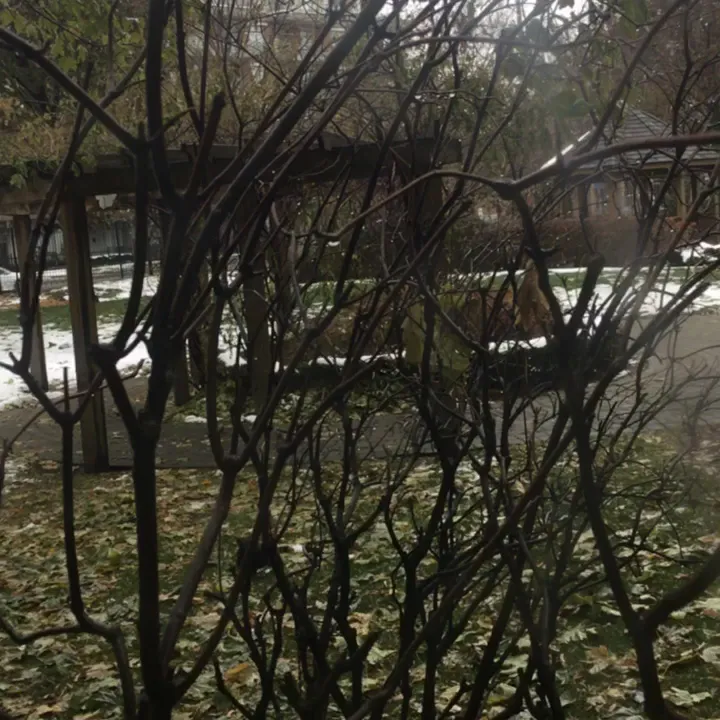 B'Nai Brith Canada Senior Citizen Residence — foto 2
