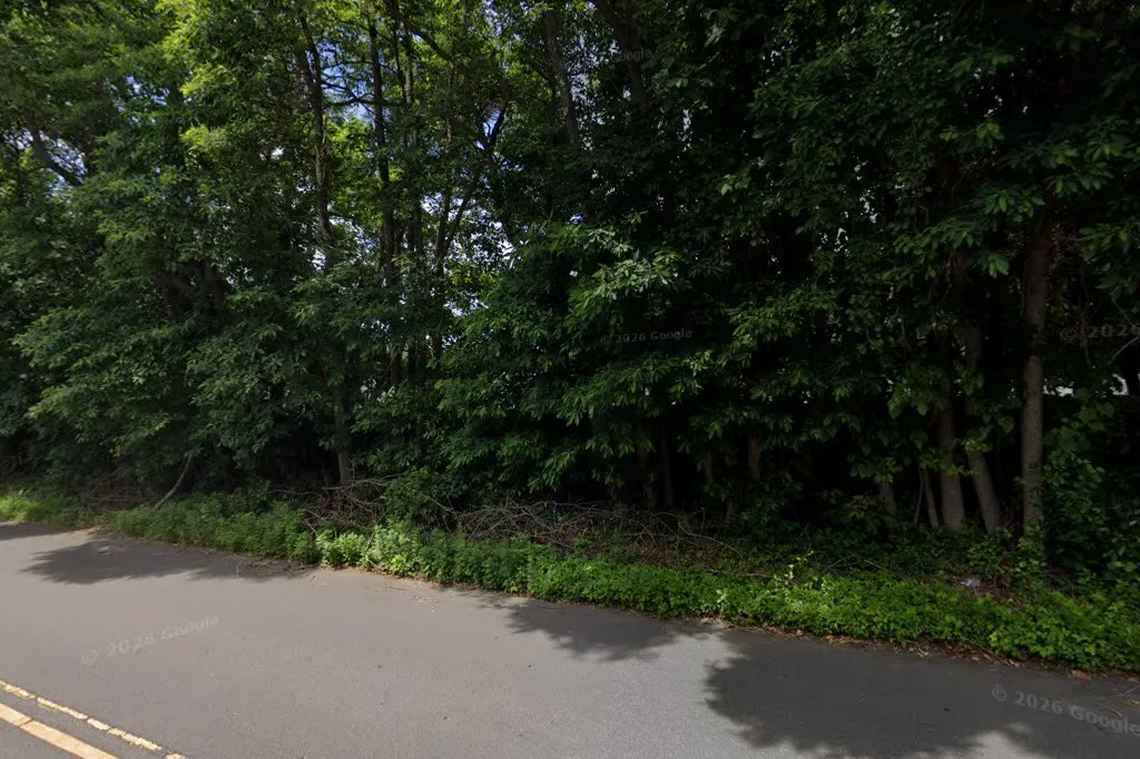 B'nai Torah Cemetery — foto 3