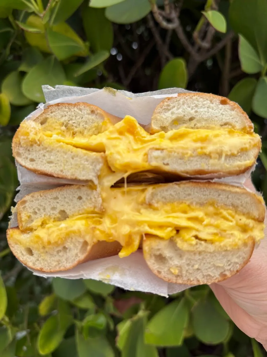 Bagel Boss (740 Arthur Godfrey Rd) — photo 2