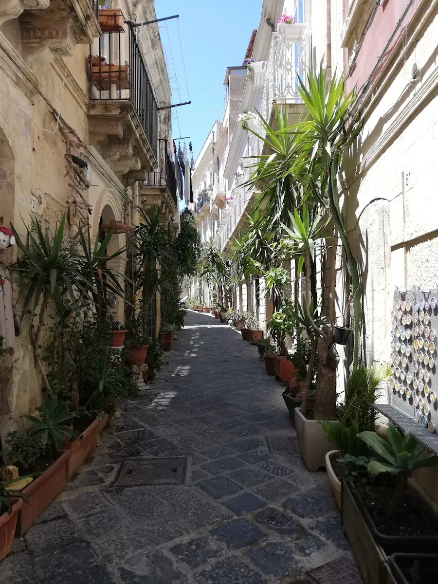 Bagno ebraico - Mikveh — foto 5