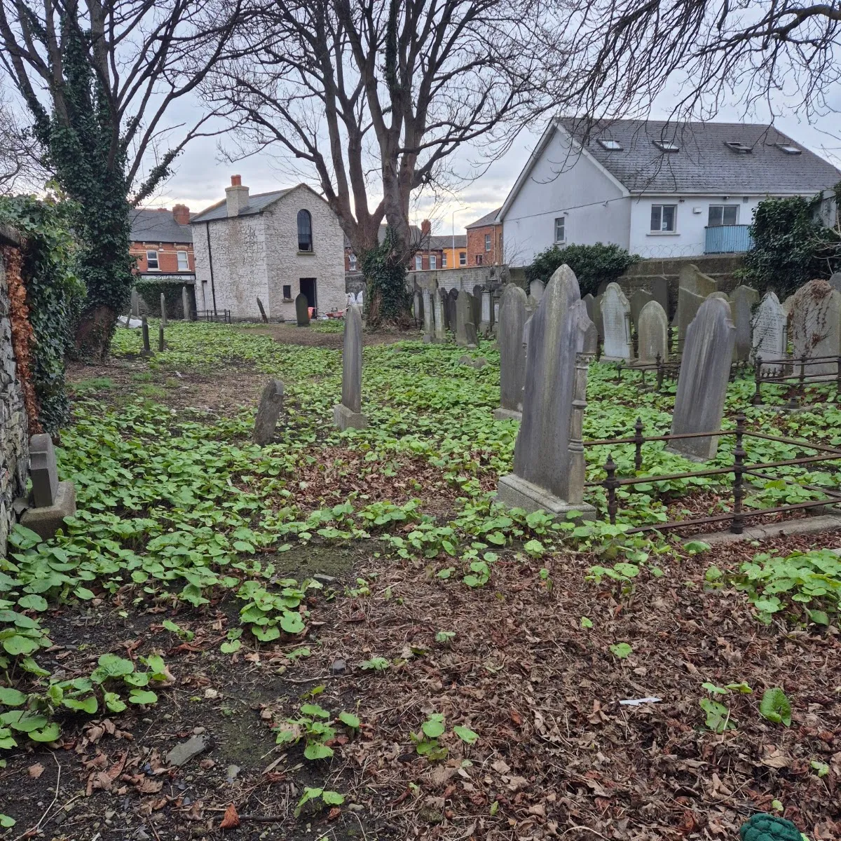 Ballybough Jewish Cemetery — photo 3